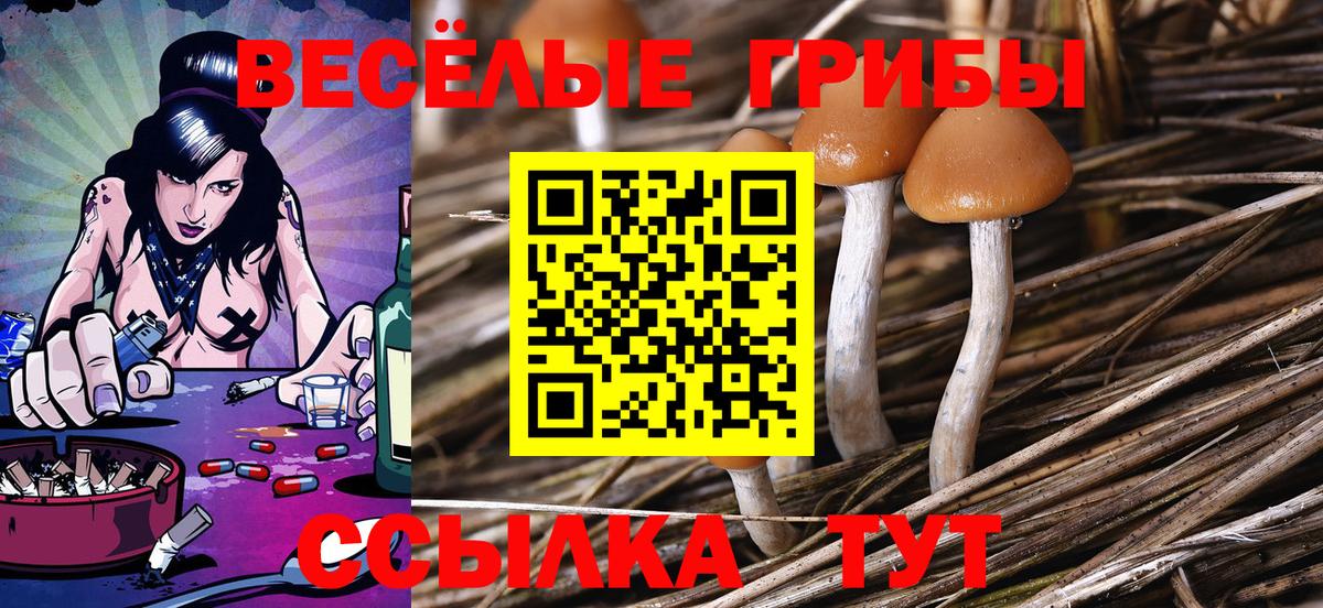 Псилоцибиновые грибы мицелий  Галлюциногенные грибы мицелий  Вход с VPN  Магнитогорск 