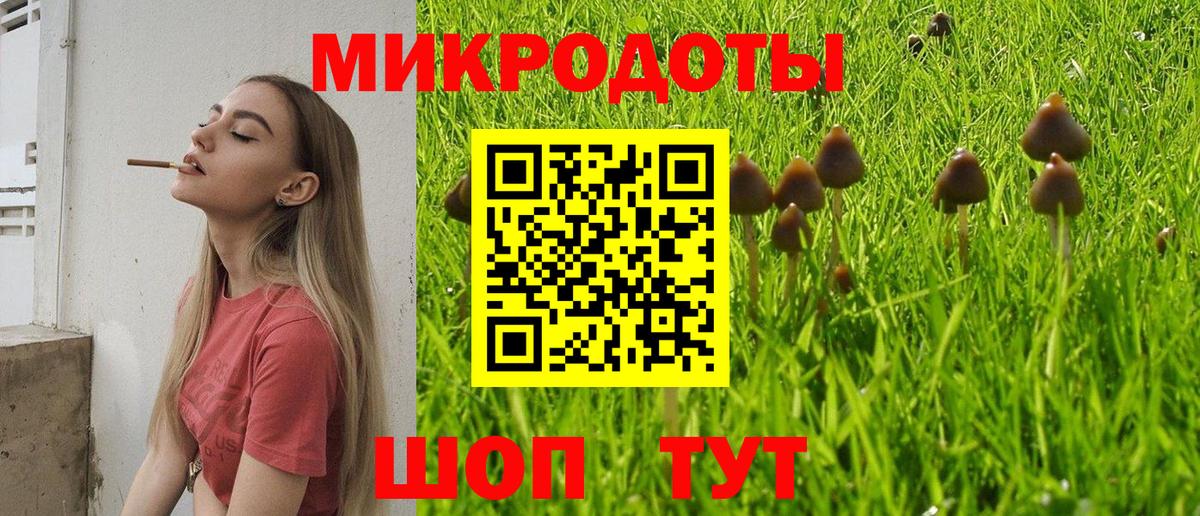 Псилоцибиновые грибы Cubensis Магнитогорск